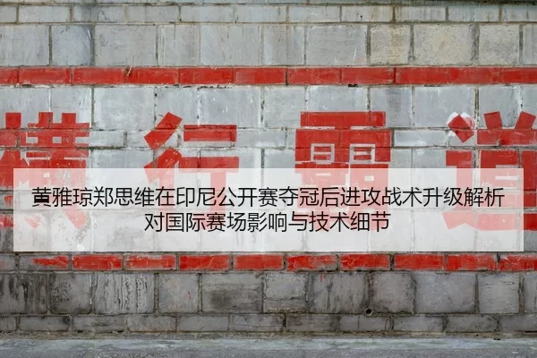 huang-ya-qiong-zheng-si-wei-zai-yin-ni-gong-kai-sai-duo-guan-hou-jin-gong-zhan-shu-sheng-ji-jie-xi-dui-guo-ji-sai-chang-2-478.jpg